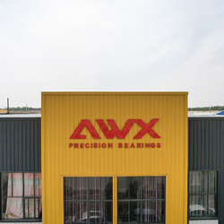 Shandong Awx Bearing  Co., Ltd. производственная линия производителя