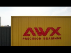 Компания видео